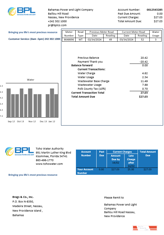 Bahamas Power and Light Company business utility bill template in Word and PDF format